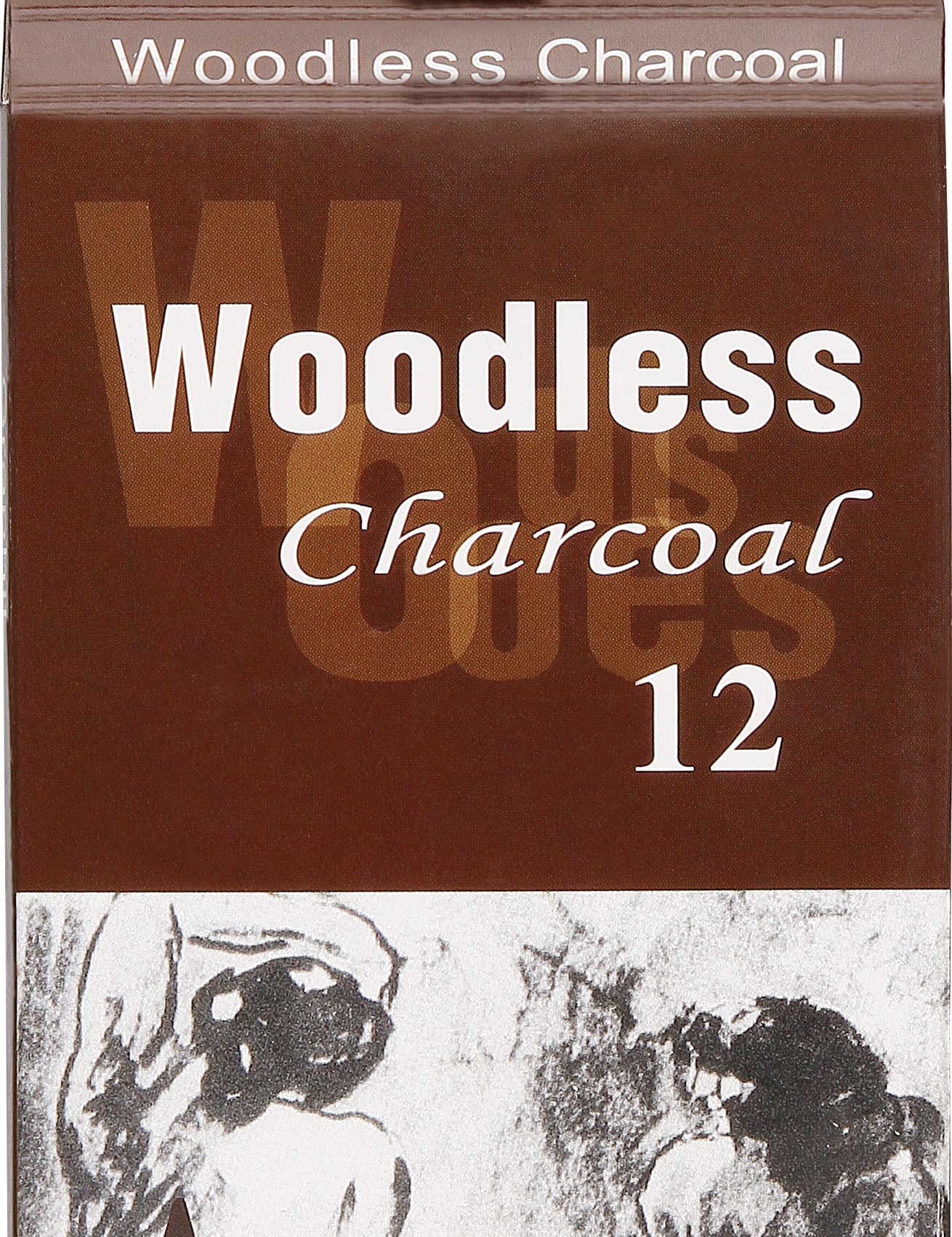 40029_12pcs_woodless_charcoal_pencil.jpg