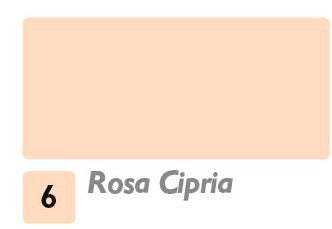 Colore acrilico Shabby N.6 Rosa cipria